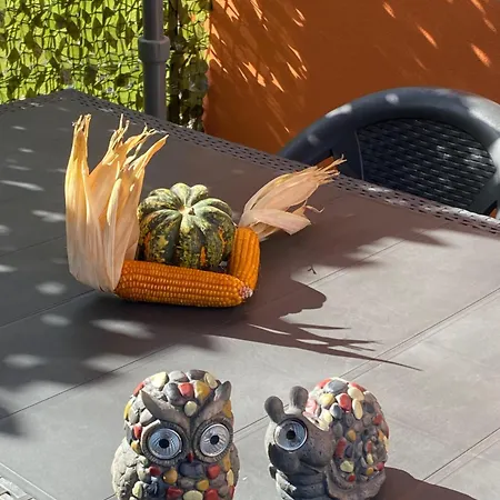 Good Vibe Gasthof Padua